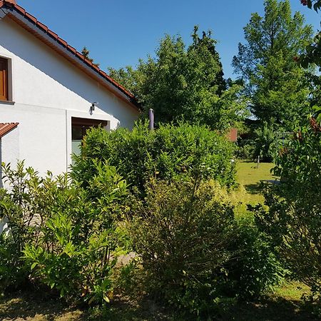 Ferienhaus In Bernau Bei Berlin Daire Dış mekan fotoğraf